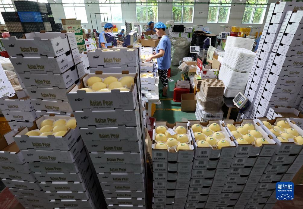 捕鱼游戏单机版破解版